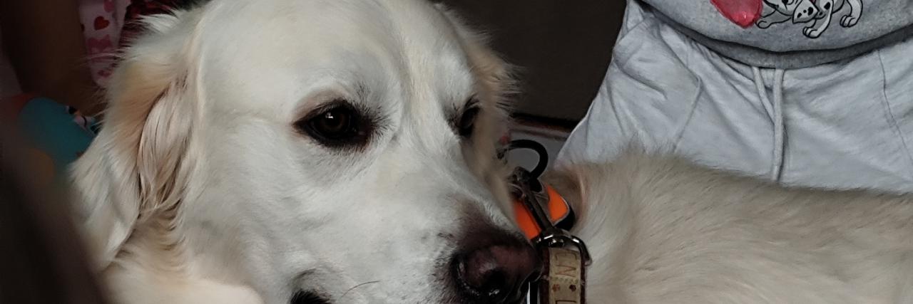 Zdjęcie aktualności 134