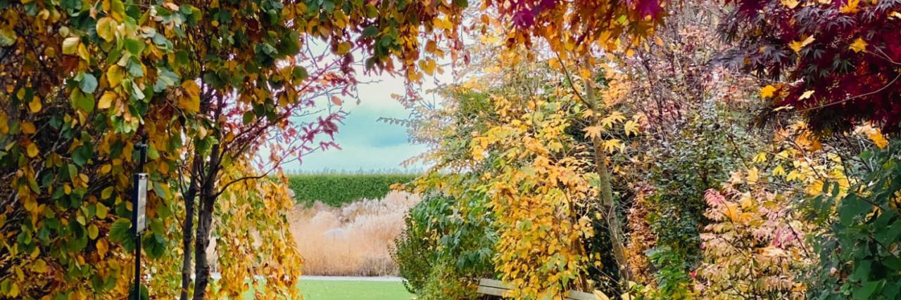 Zdjęcie aktualności 135